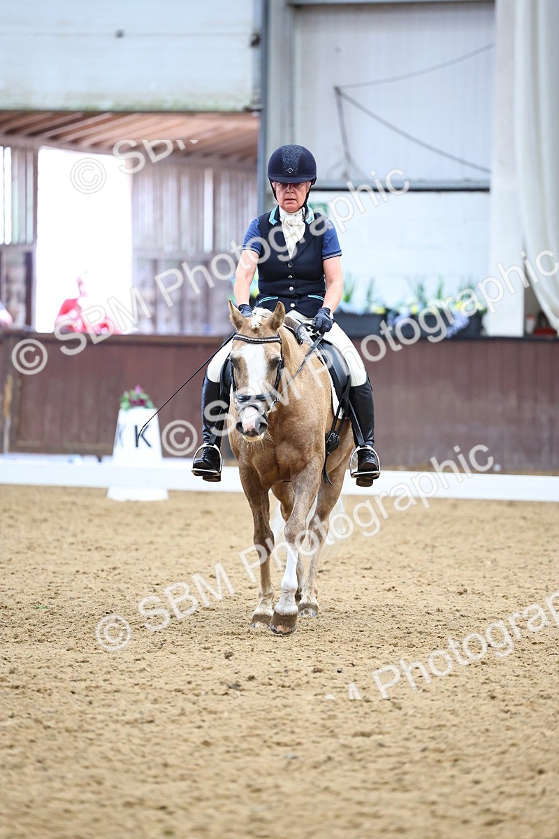 SBM_005570 - Elementary 2