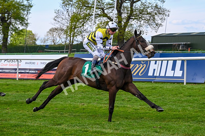 020526-Race 1-Arapaho Gold-8934 - Race 1 1.35pm Steve Poskitt's 60th Birthday Restricted Maiden Stakes