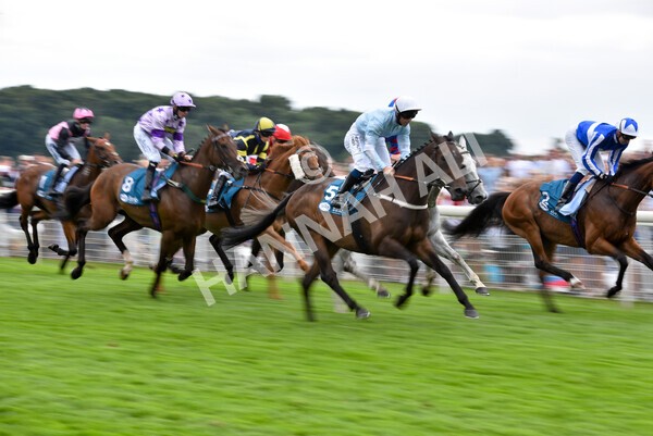yr23072022r5-19 - Race 5 4.25pm Sky Bet UK's No1 Betting App Stakes