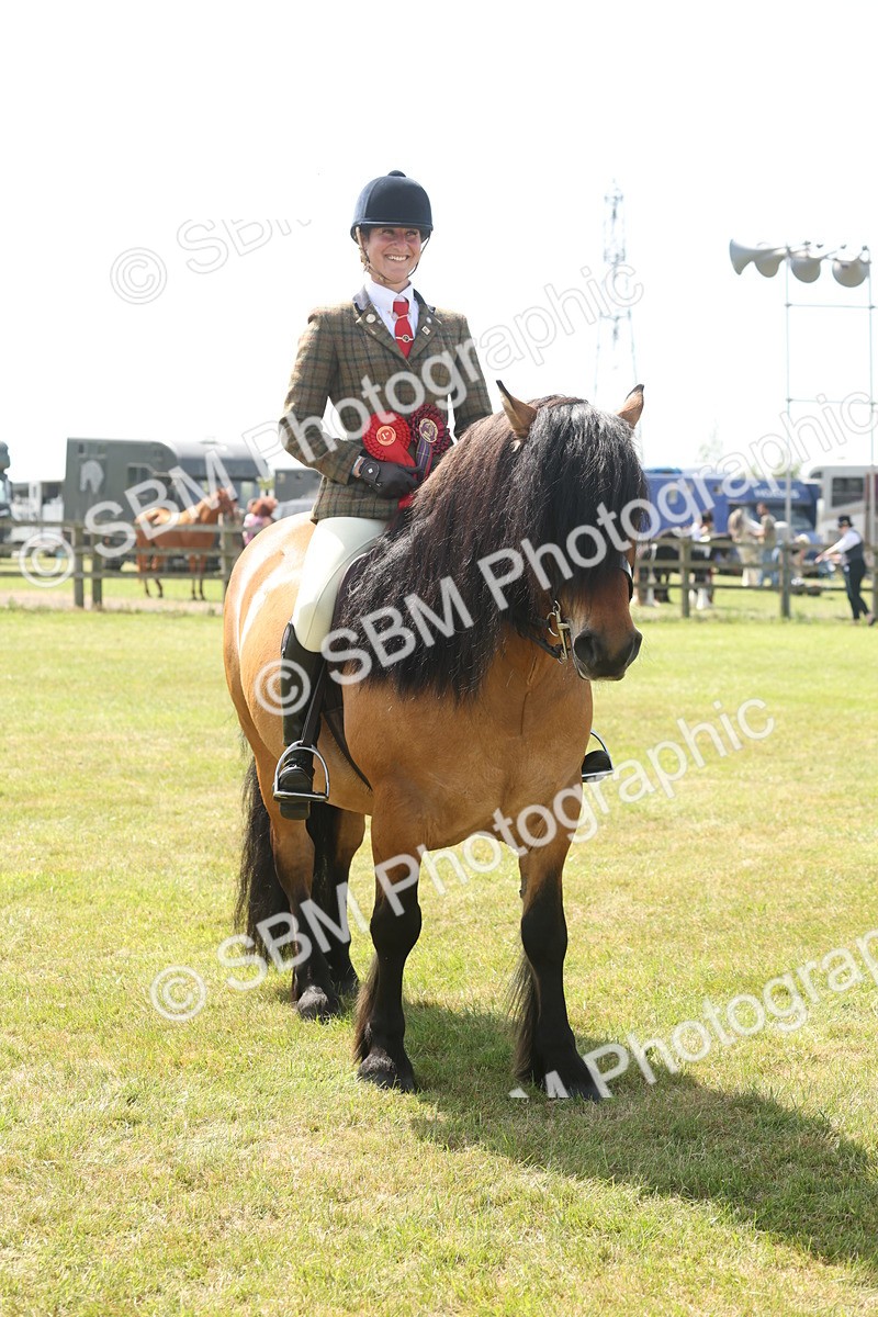 SBM_07735 - Class 26-30 - Mountain and Moorland Ridden