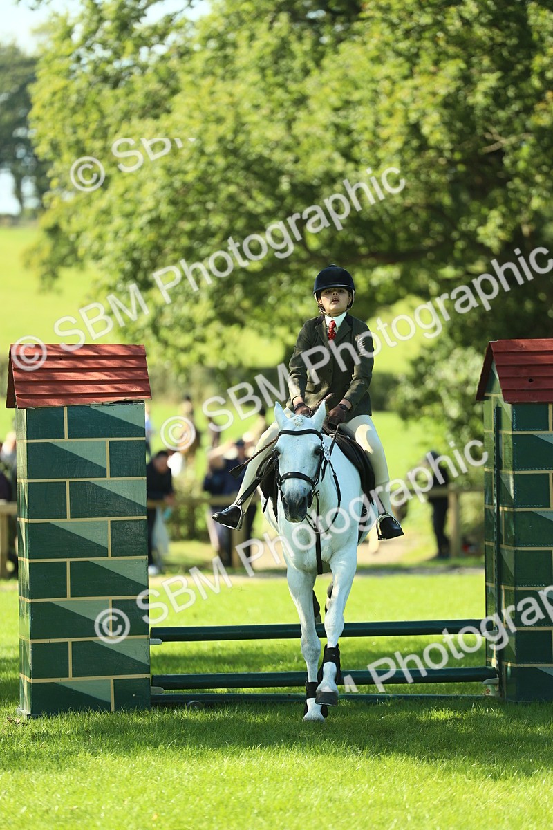 SBM_39138 - S29 - Novice & Newcomers Working Hunter Pony