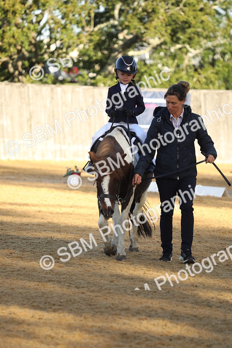 SBM_33699 - D26 - Starers - Lead Rein