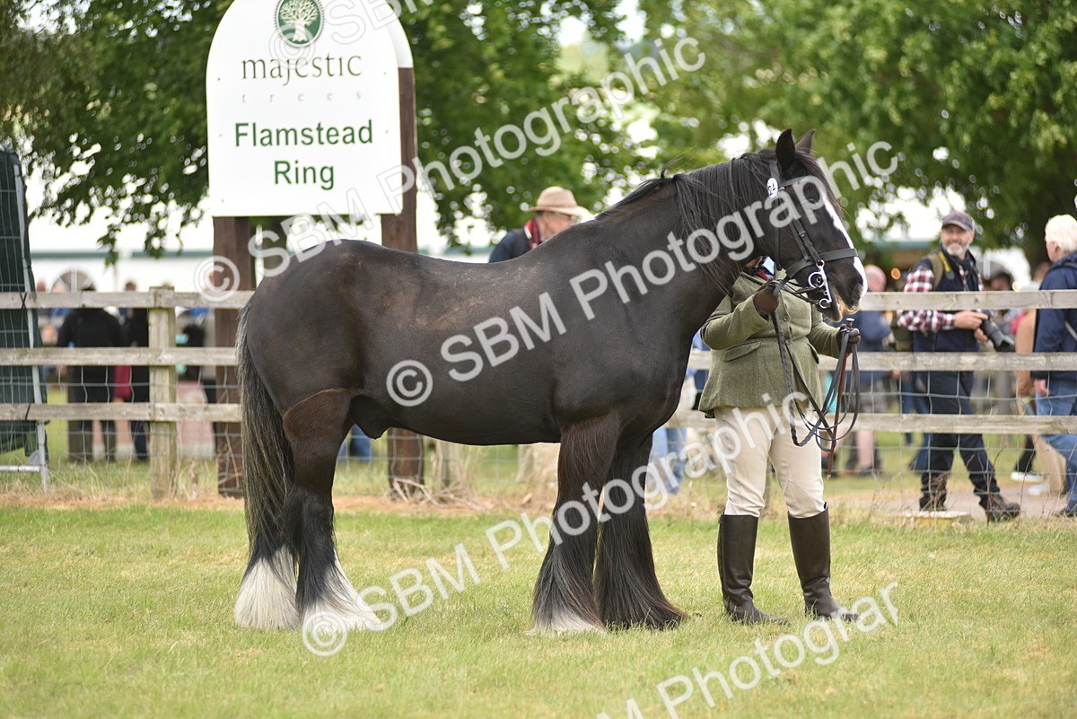 SBM_15977 - Class 117-122 - SSADL RIHS Qualifier