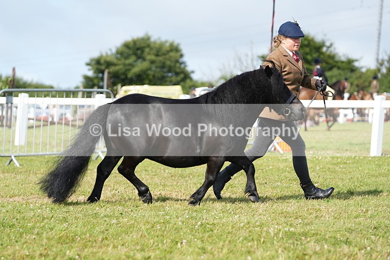 DSC05199 - Class 49: NPS Shetland 4 years and over
