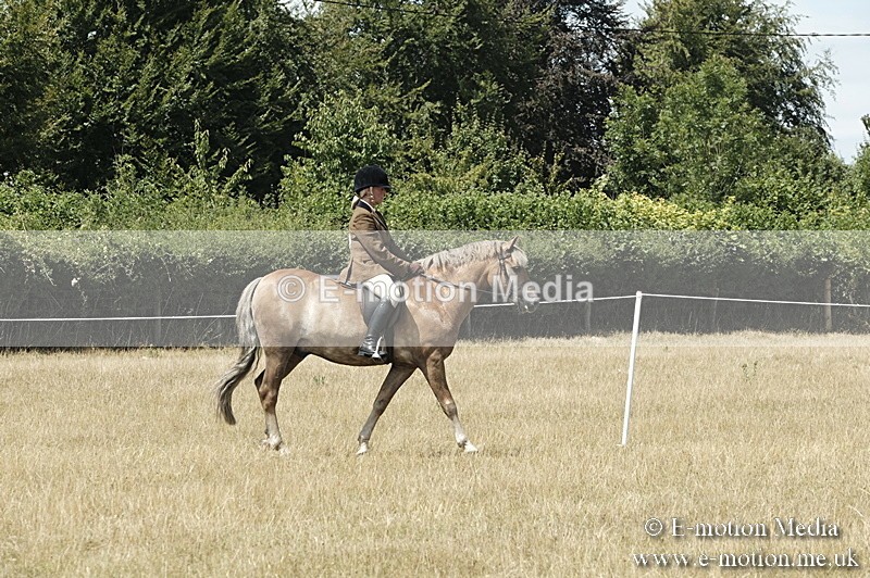 _PJP5962 - BVRC Show 2018 Ring 1