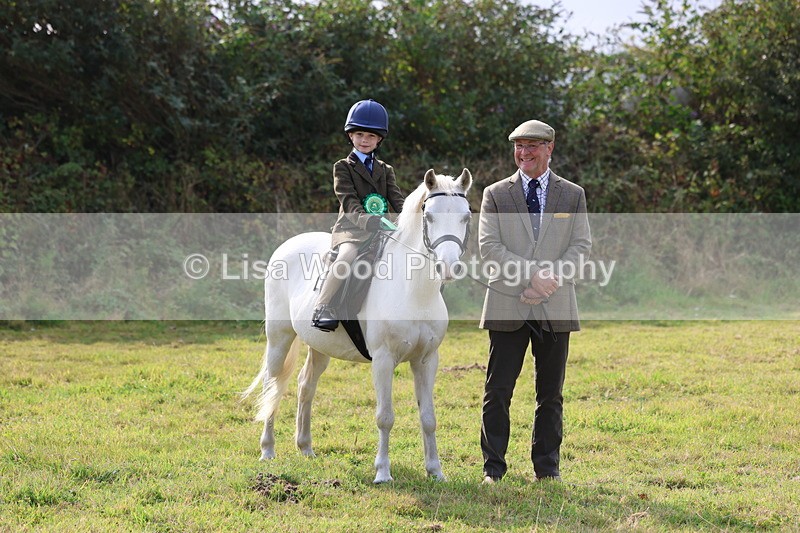 3E7A3780 - Class 2: Lead rein