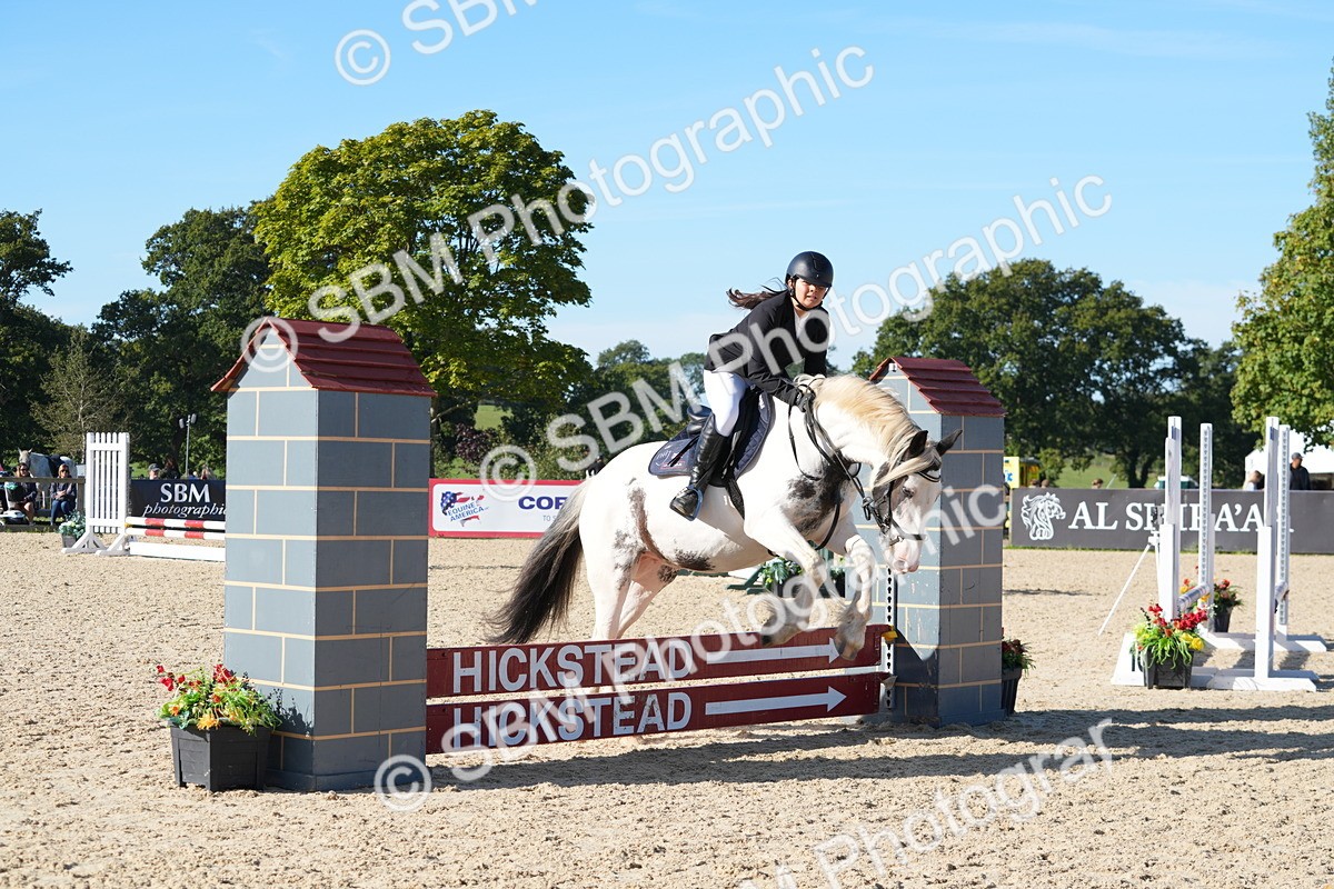 SBM_36116 - J 20 - Junior Horse 50cm Championship