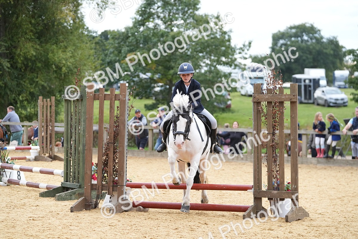 SBM_74813 - J4 - Mini Tour Junior Pony 45cm Championship