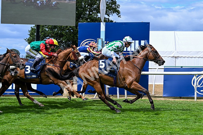 010826-Race 2-Witch Hunter-2280 - Race 2 14.08pm William Hill Summer Cup Handicap