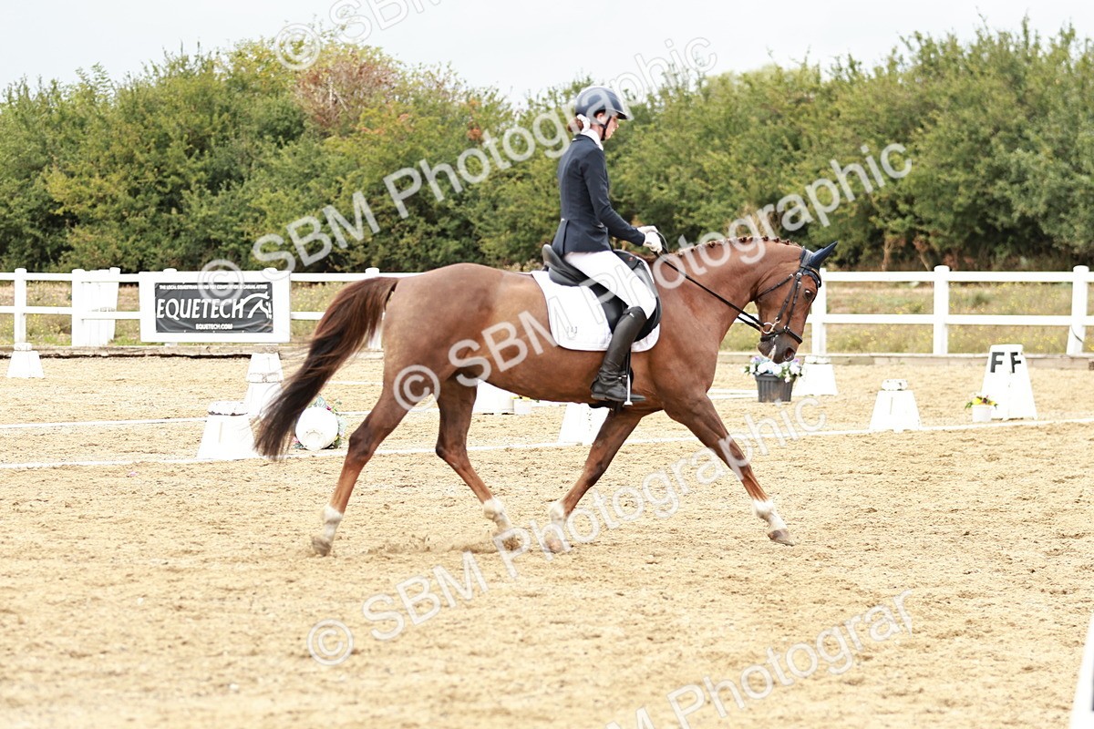 SBM_003808