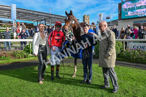 141023-Race 4-Colorada Dancer-9063 - Race 4 3.05pm Coral Racing Club EBF Maiden Stakes