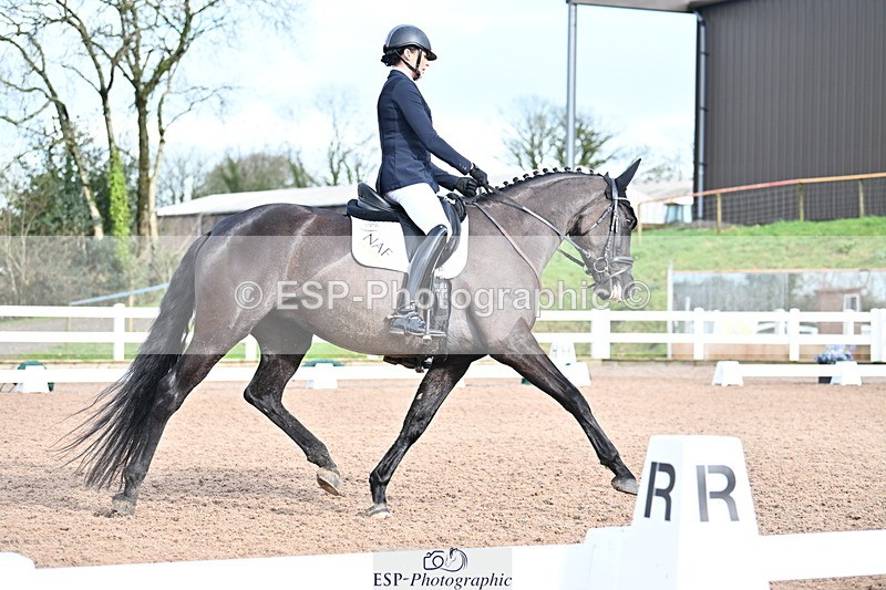 240218A-115627-06916 - 204-Elder.Klatzko-Dynasty.Hit