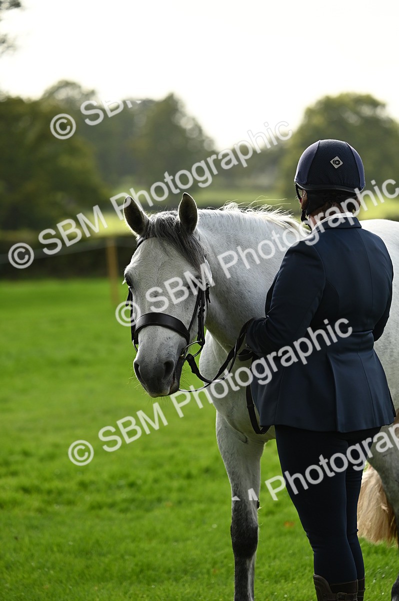SBM_25040 - S5 - Novice & Newcomer In hand