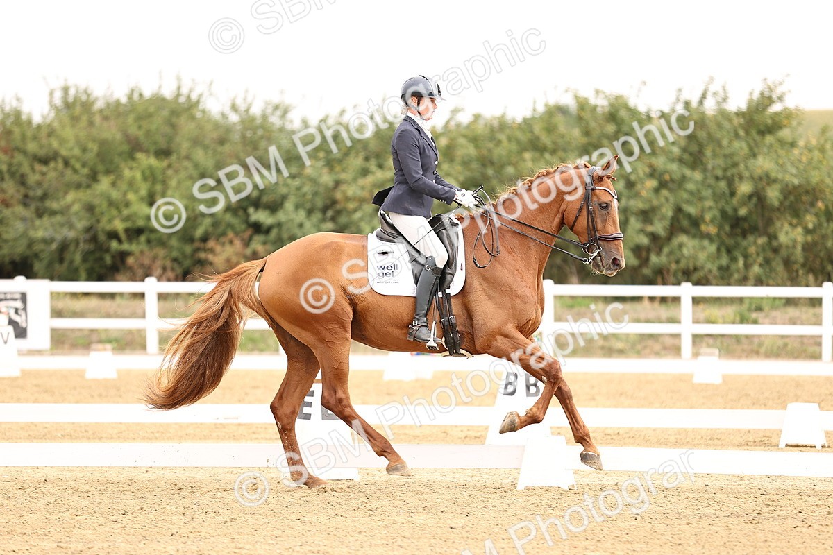 SBM_011655 - Class 1 - Medium 5