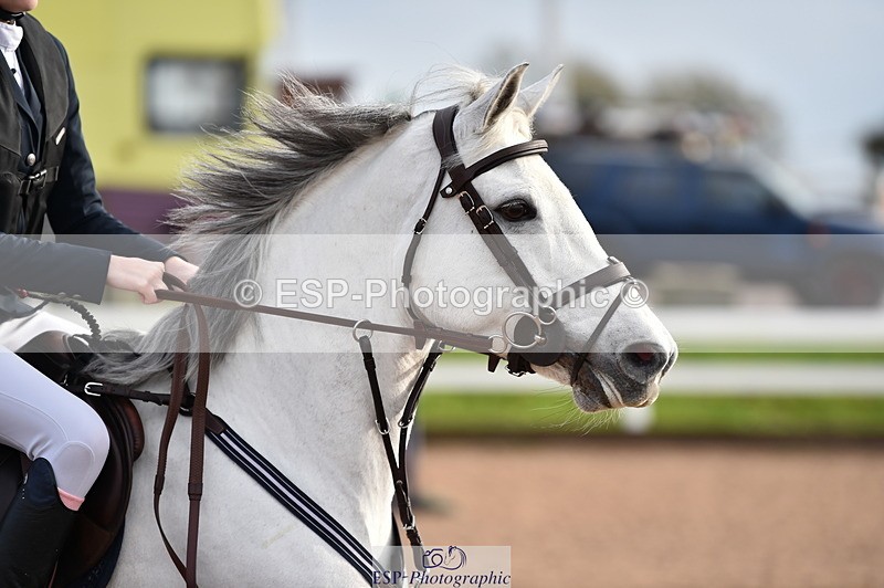 231203A-114420-00954 - Cls 4 Newcomers & 1m Open