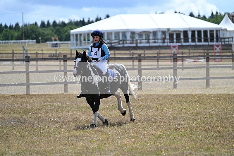 WJ7_0230 - 40cm Time 11:47 to 12:01