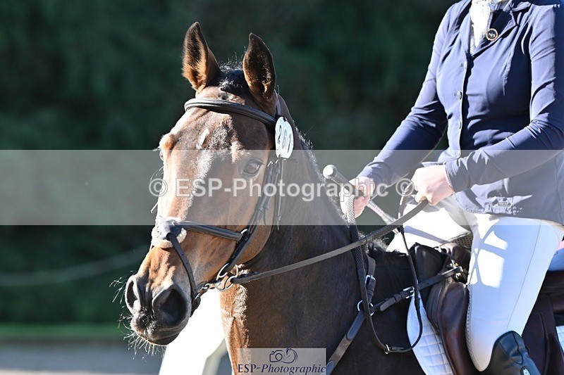 231022-104805-23482 - 261-TATTLER-Eugena.Barker-SJ