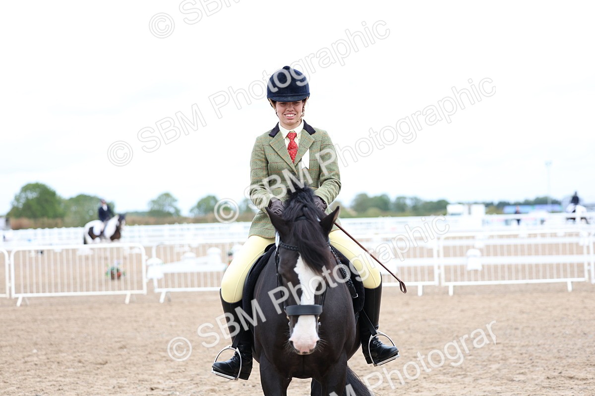 SBM_01486 - Class 17 - Prettiest Mare