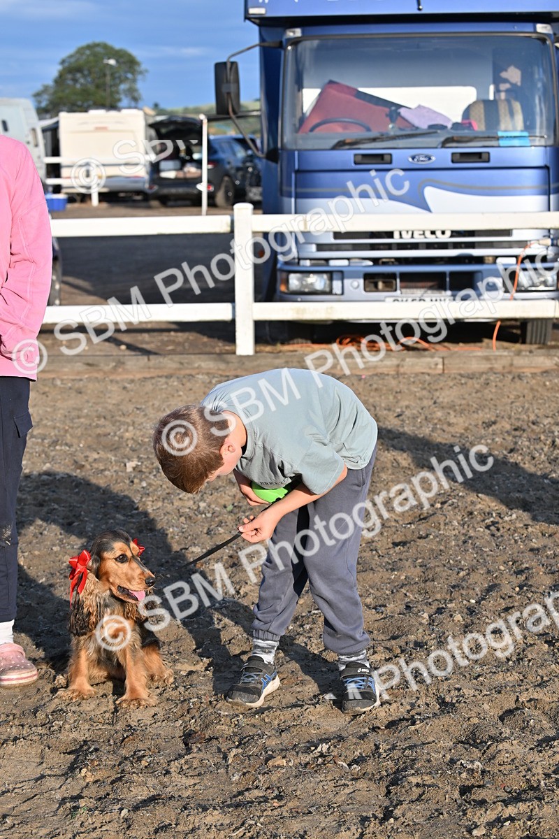 SBM_09450 - Lorry Dogs