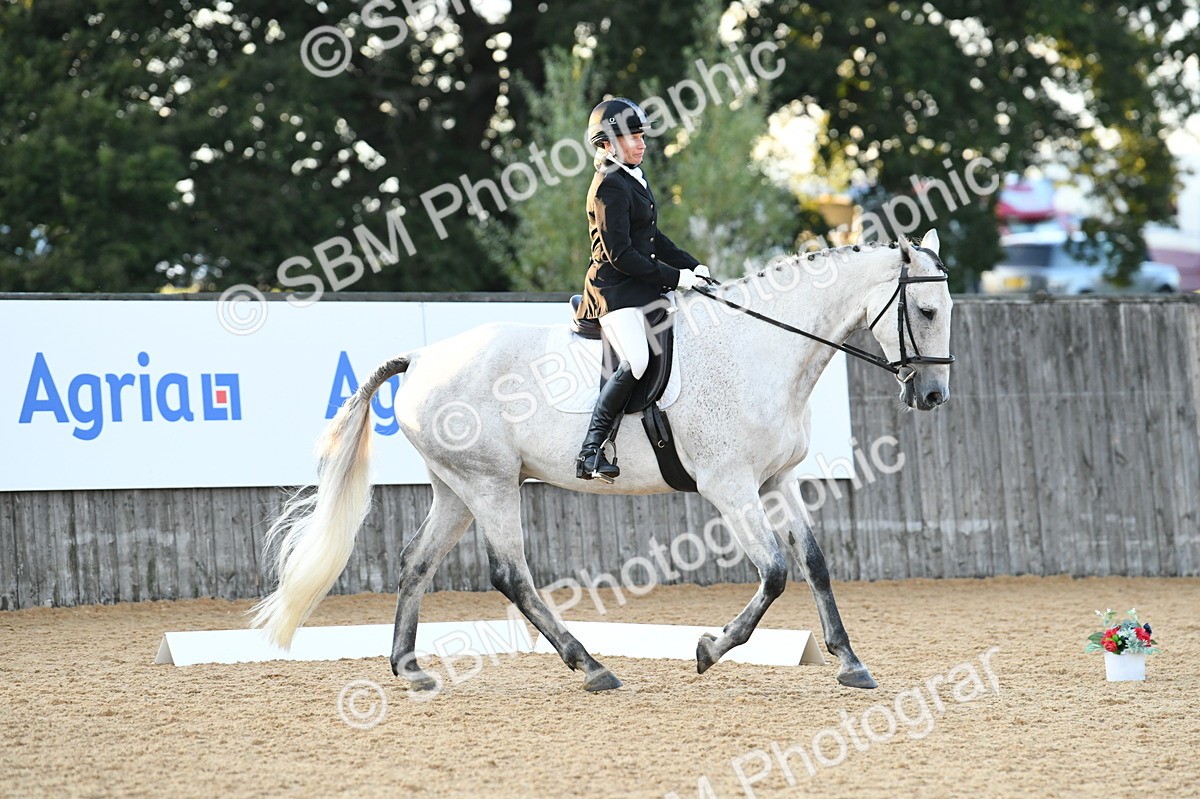 SBM_13561 - D19 Small Tour Championship Elementary 42