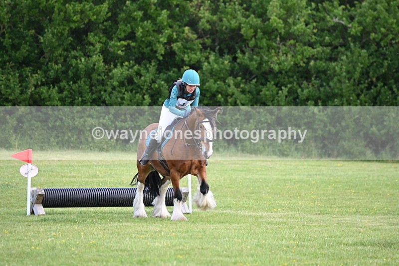 WJ6_2616 - Class 2 40cm