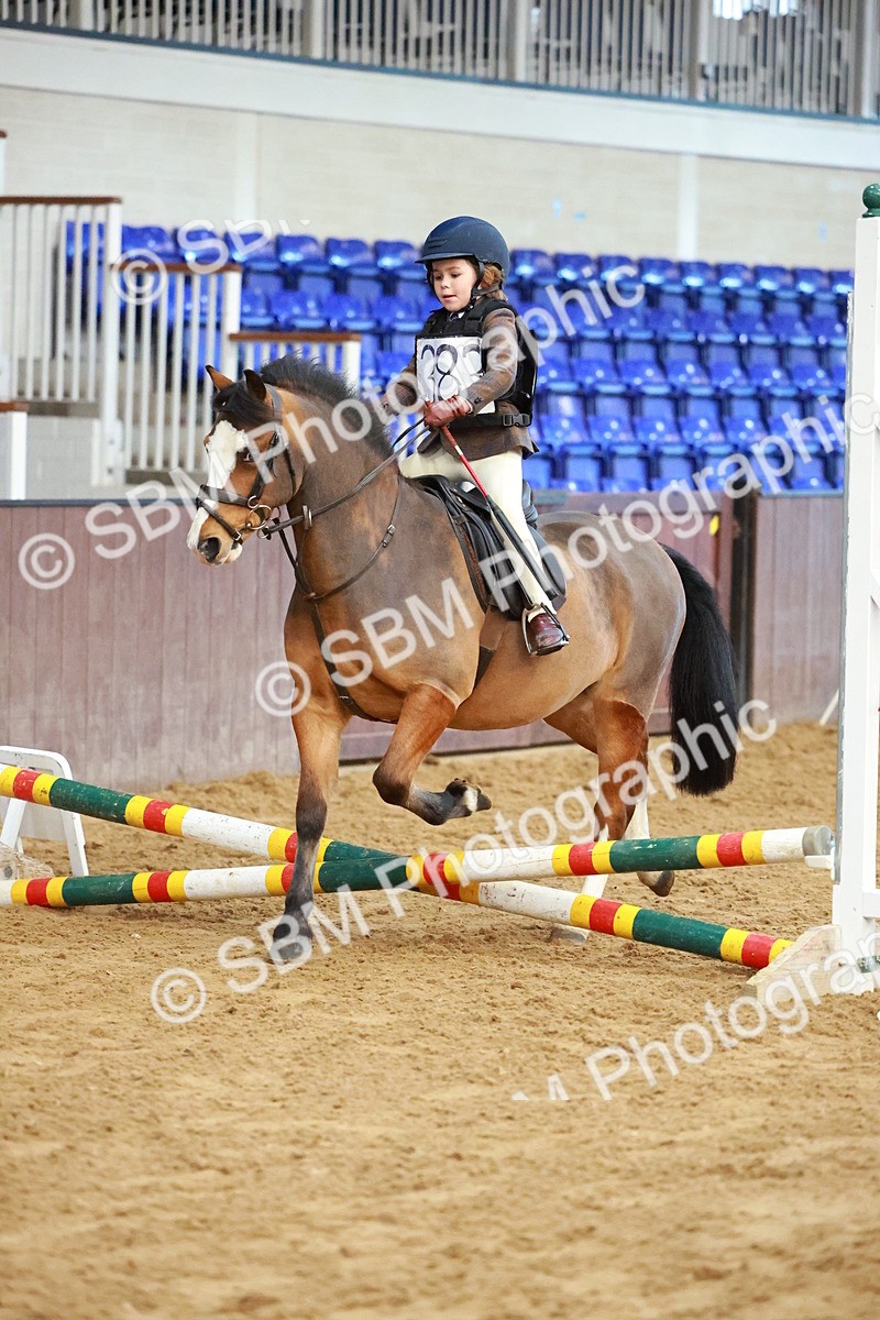 SBM_005061 - Class 1 - 40cm