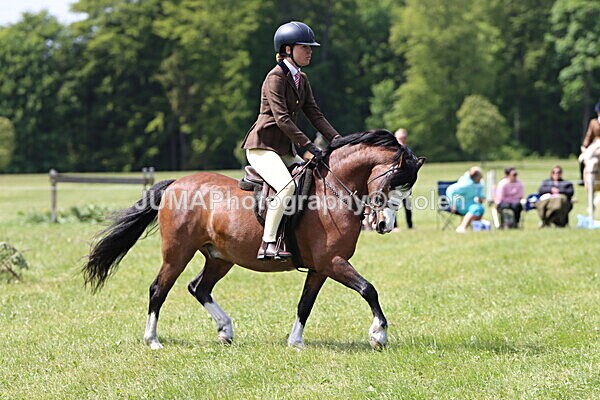 IMG_3441 - Working Hunter