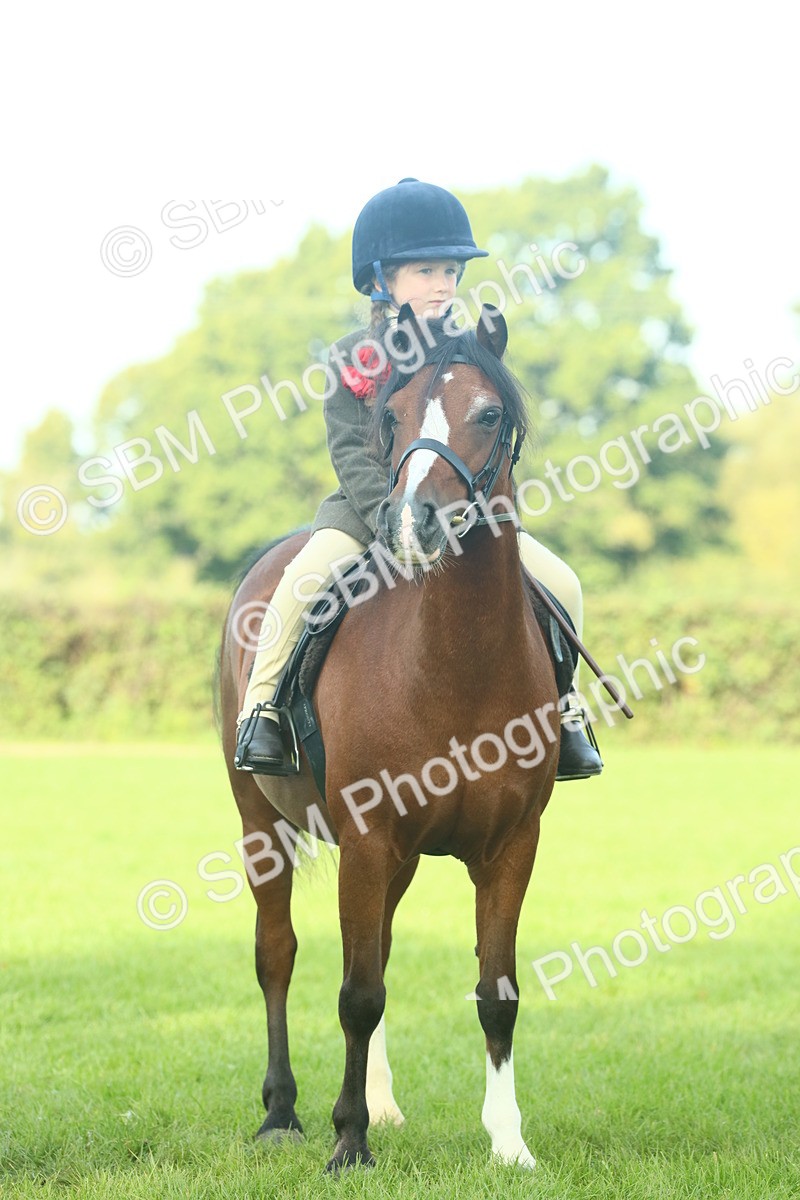 SBM_59861 - S38 - Starters Ridden Showing