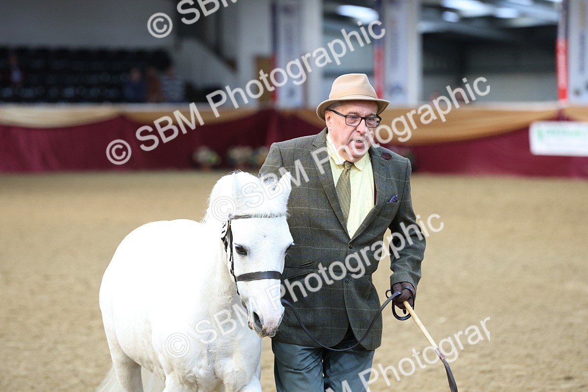 SBM_21861 - Class 901 - Supreme Final - IH  Diamond