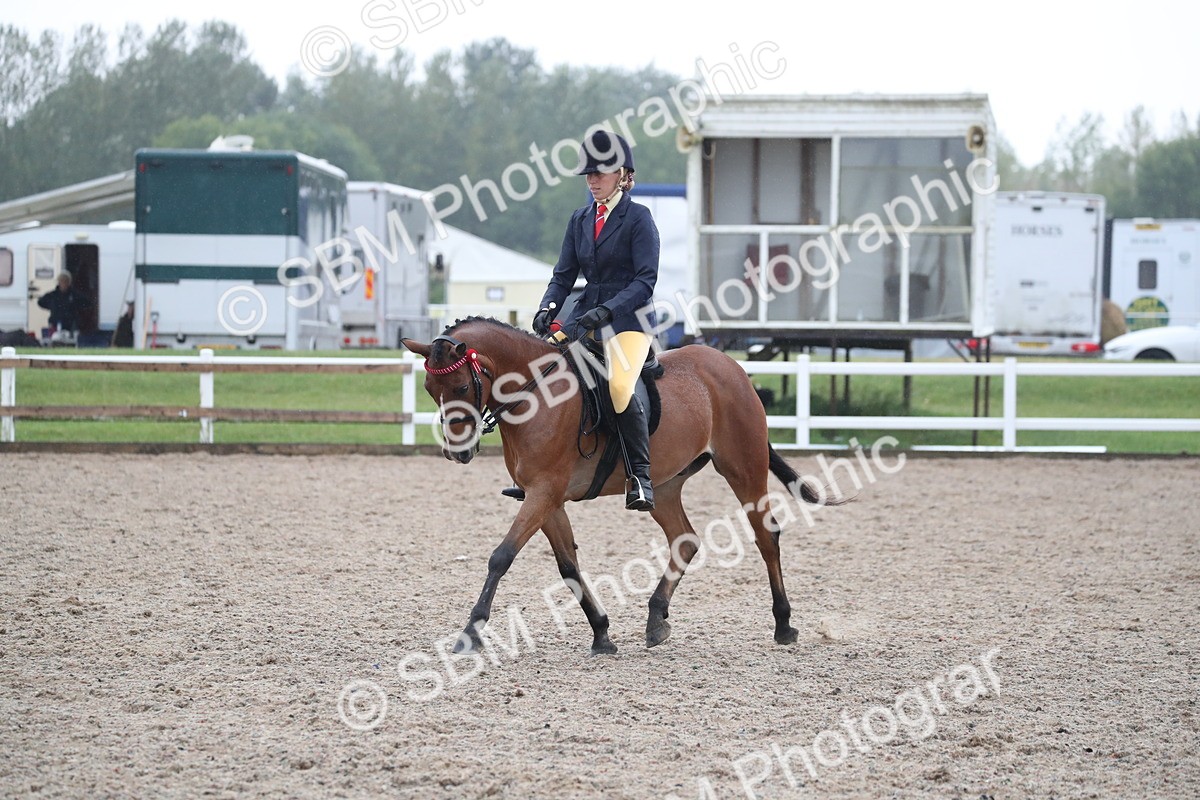 SBM_20469 - Class 601 - 2025 Area - Ridden Diamond