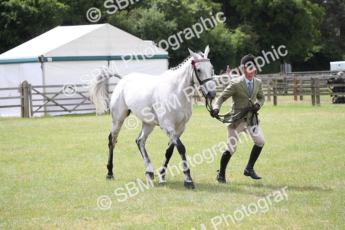 SBM_14234 - Class 113-114 - Retraining of Racehorses Ridden