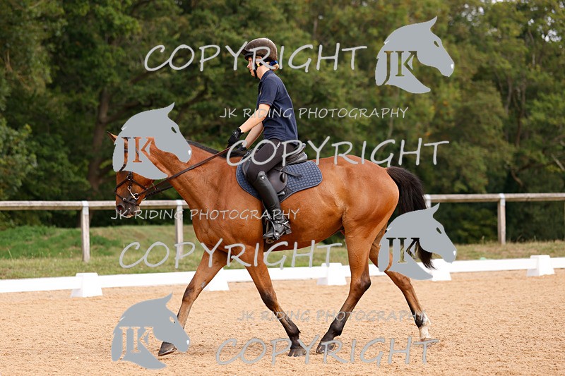 _R6A2661 - Dressage Morning