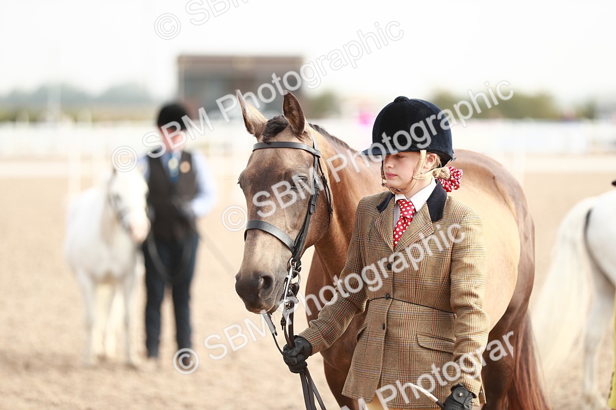 SBM_10572 - Class 204 Young Handler, 11-16 years