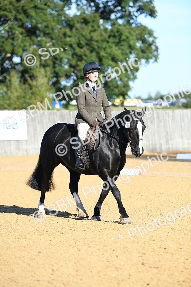 SBM_16072 - D4 - Small Tour Championship - Intro B