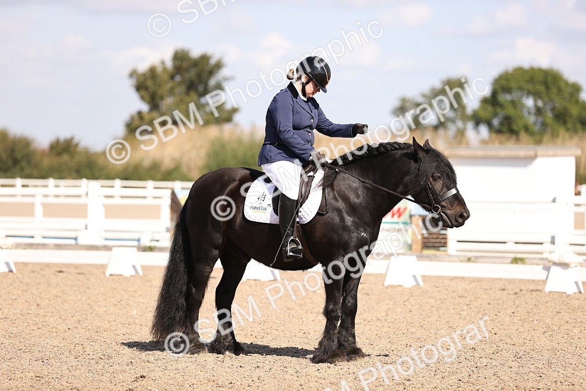 SBM_03538 - CLass 35 Intro 3