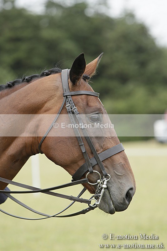 BVR160717-2395 - Side Saddle Classes 16/07/17