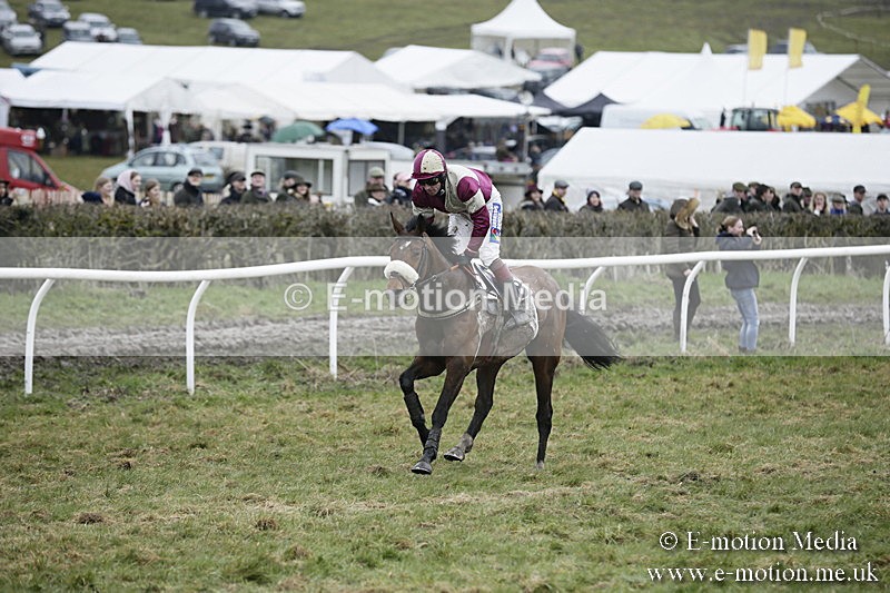 PtP 020418 -496 - Old Berks Point-to-Point Races Easter Monday 02/04/18