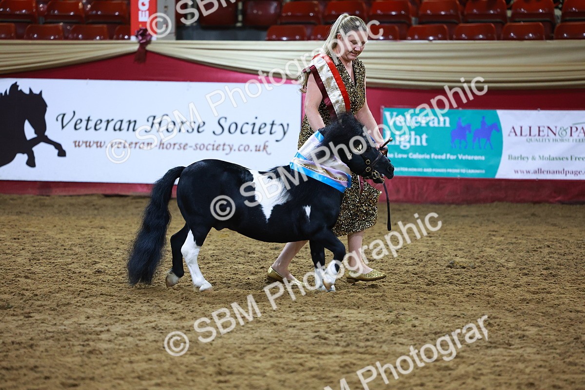 SBM_15320 - Class P - M&M Champ