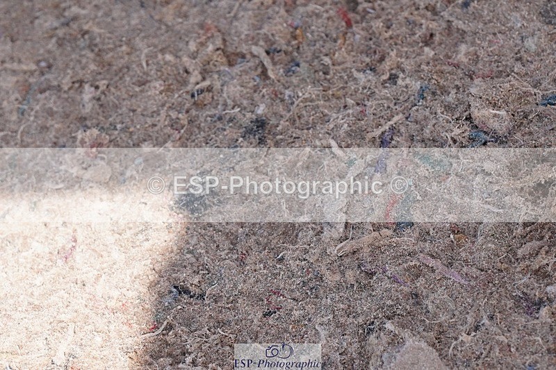 250427-145918-17901 - Cls 48 Ponies - Major Tour