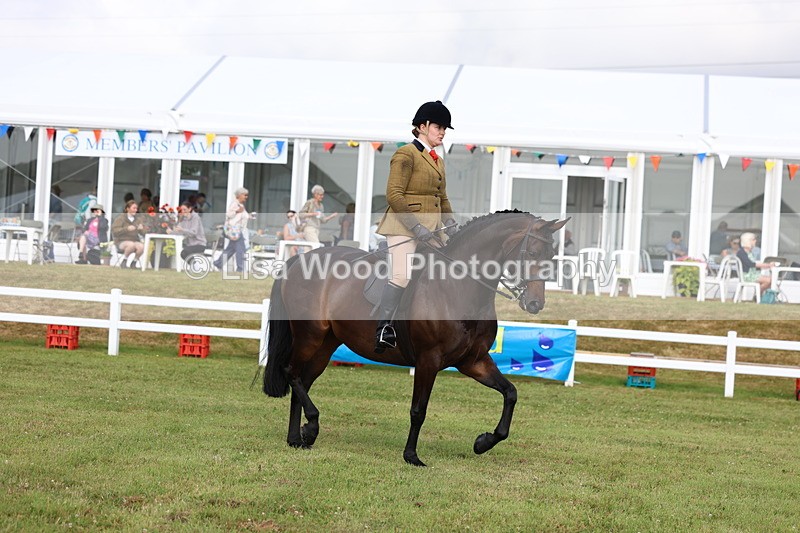 3E7A8956 - Class 3: Rising Star S/L Hunter