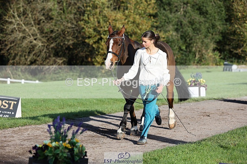 241027-091930-15210 - 375-Erin.Brown-50.SHADES.OF.BAY