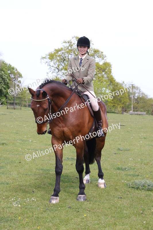 20260426-4379 - Class 34 - Best Riding Horse Over 14.2hh