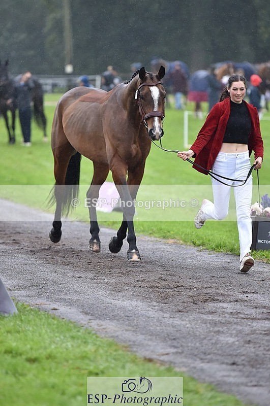 231018-121454-00160 - 065-SIR.HENRY.HALL-Jess.Rimmer-TrotUp