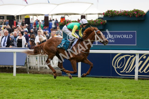 250524-Race 6-Primo Lara-3286 - Race 6 4.30pm Royal Yorkshire Regiment Handicap