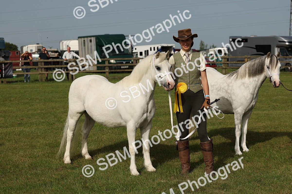 SBM_00590 - Class 6-13 - Mountatin and Moorland In Hand Welsh Breeds