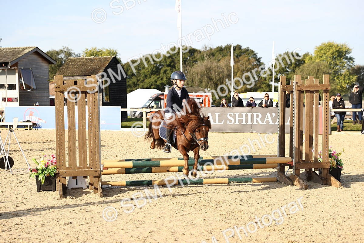 SBM_59542 - J11 - Junior Pony 50cm Championship