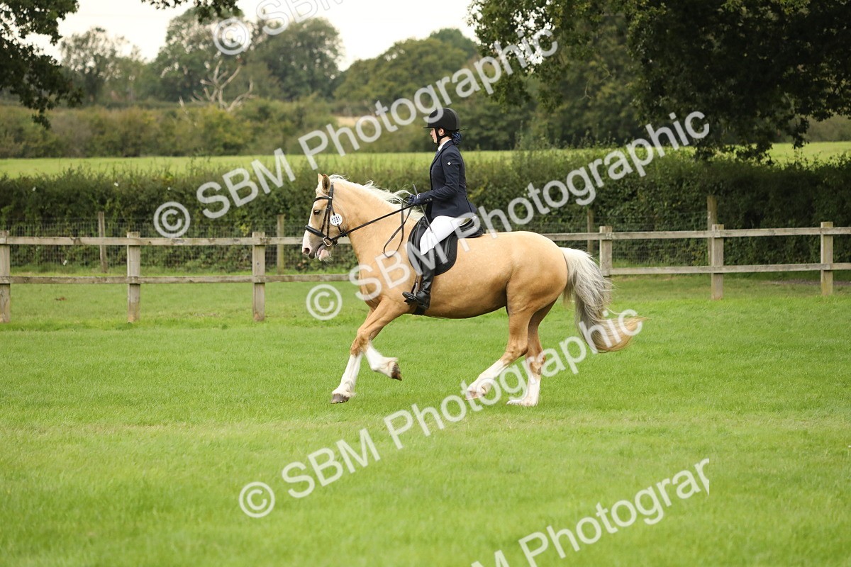 SBM_73710 - S41 - Ridden Equitation (Best Rider)