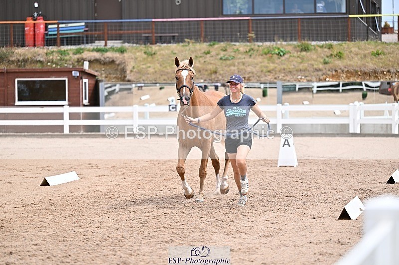 250716-132812-00536 - Trot Up 12.30 to 1.30
