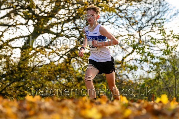 NatRel25-914560 - Young Male Set Two