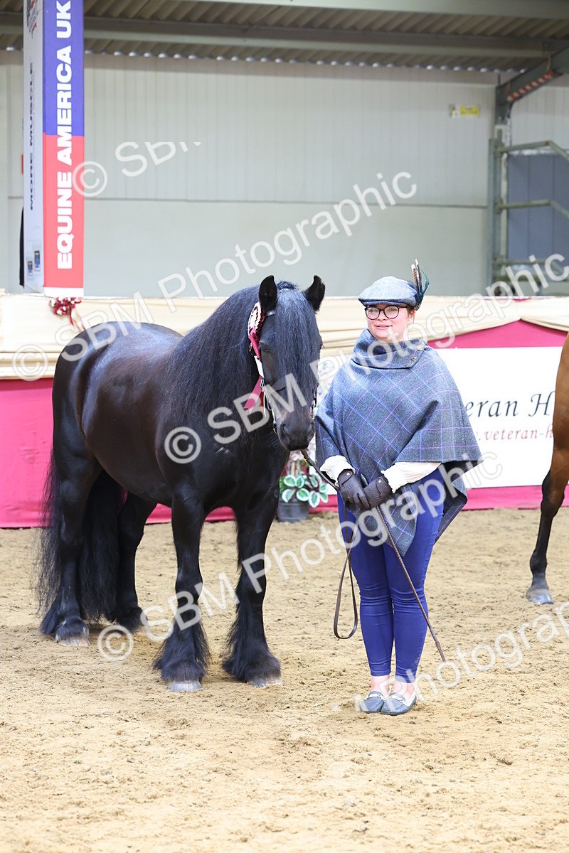 SBM_22956 - Class 903 - Supreme Final - IH Pre Vet